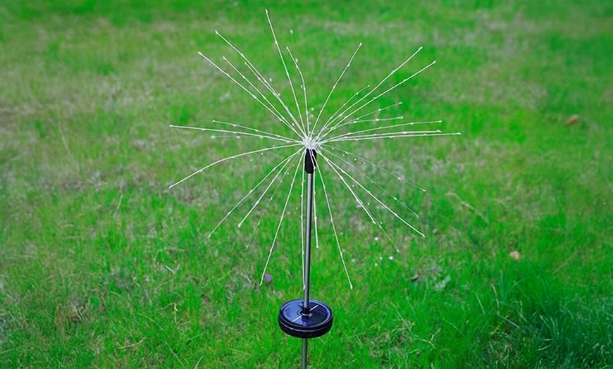 Image 3: Packs of One, Two or Four Solar Dandelion Decorative Lights
