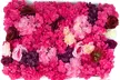 $300 for Flower Wall Hire from One Events Pty Ltd (Up to $600 Value) - Image 3