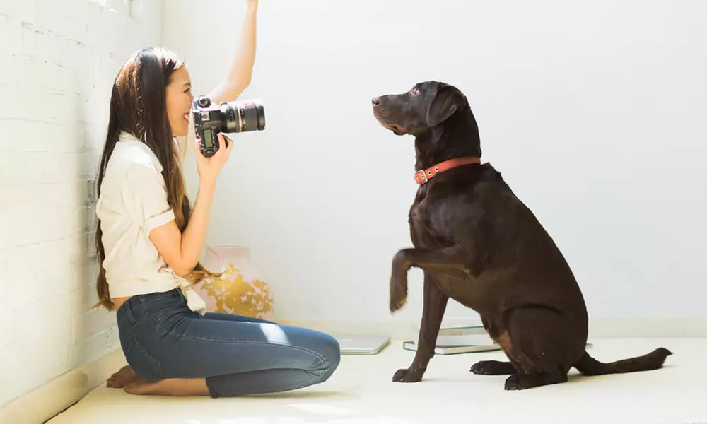 Herunterladbarer Onlinekurs für Tierfotografie mit 4 Paketen und 50 Lektionen bei PSD-Tutorials (43% sparen*) - Primary Image