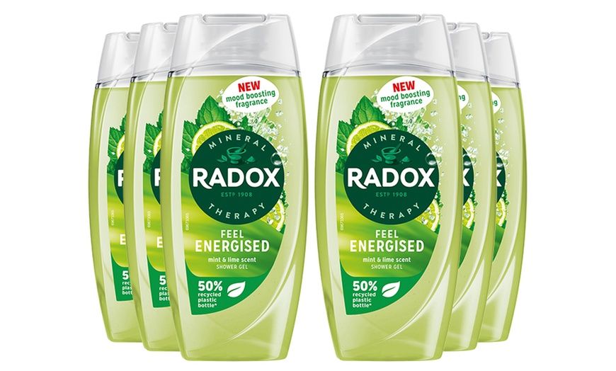 Image 15: Radox Mineral Therapy Shower Gel with Mood-Boosting Fragrance