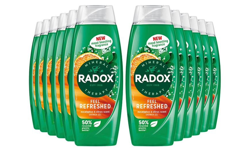 Image 9: Up to 12 Radox Shower Gels 450ml