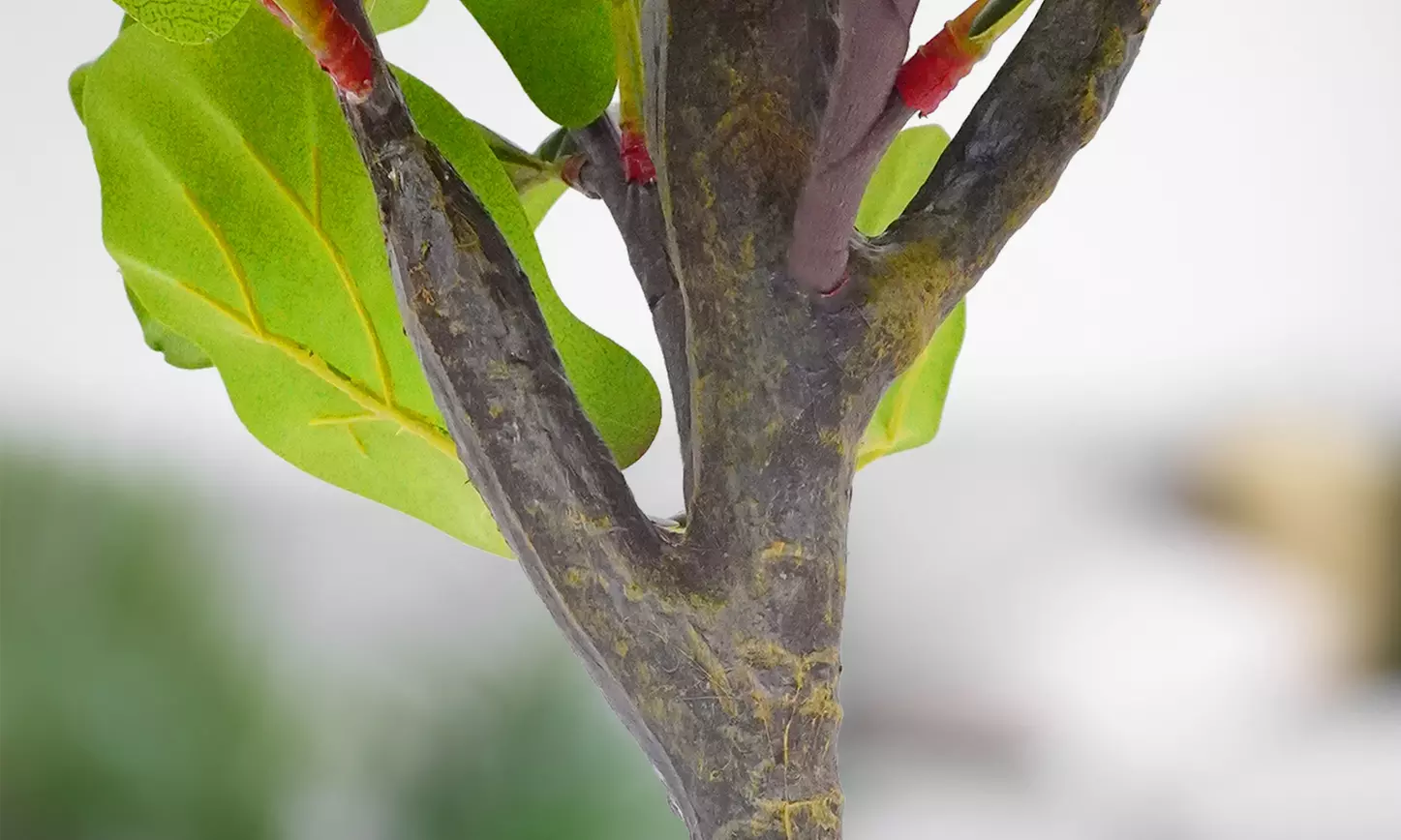 Collezione di piante finte da interno