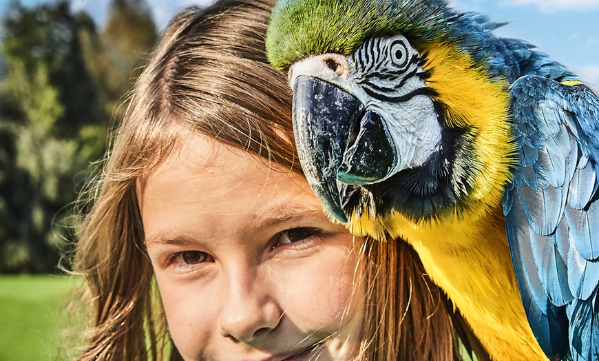 Image 7: Tageskarte Weltvogelpark Walsrode