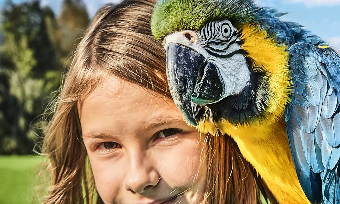 Tageskarte Weltvogelpark Walsrode