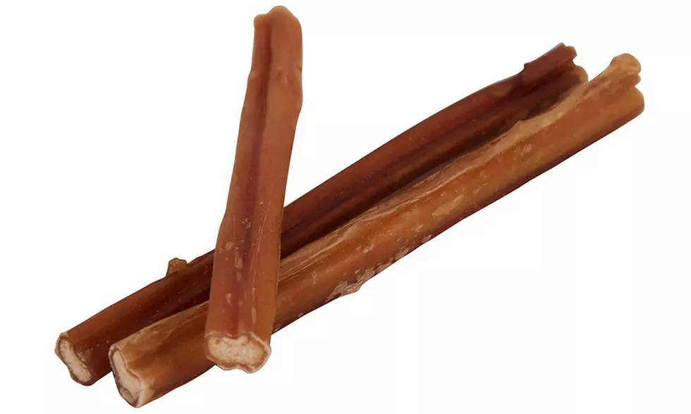 7" Natural Beef Bully Sticks for Dogs (Multiple Options Available) - Second Medium