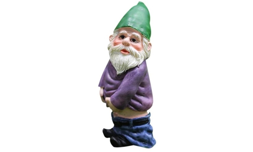 Image 6: Four-Piece Mini Drunk Garden Gnomes Set