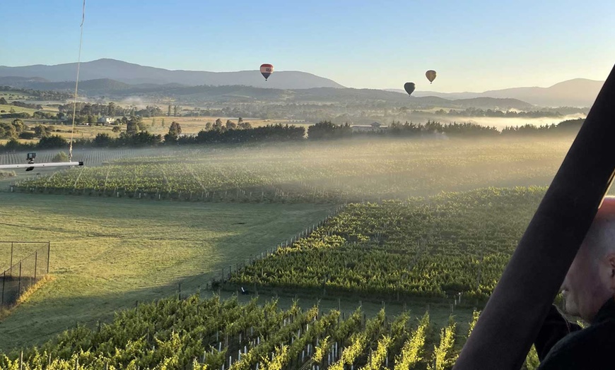 Image 9: Soar Over Yarra Valley with Go Wild Ballooning: 35 Years of Excellence