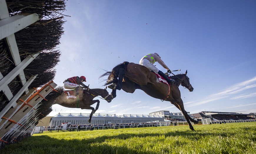 Image 2: Punchestown Racecourse - Up to 51% Off