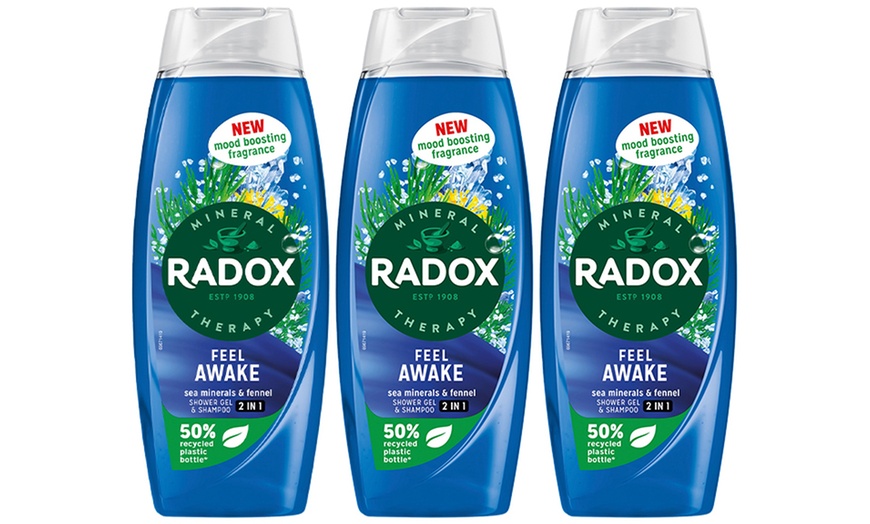 Image 3: Up to 12 Radox Shower Gels 450ml