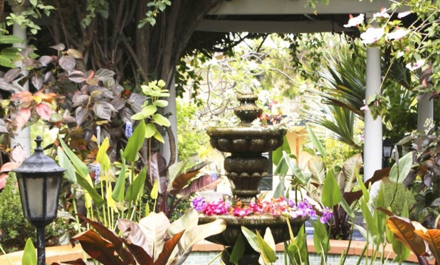 Image 9: Entrada al orquidario y brunch en Café Orquidea