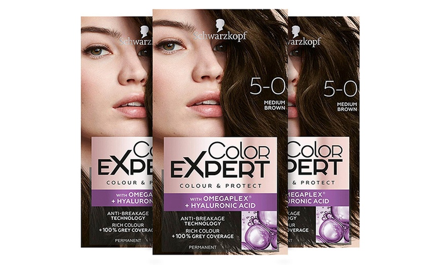 Image 23: Schwarzkopf Color Expert Hair Dye