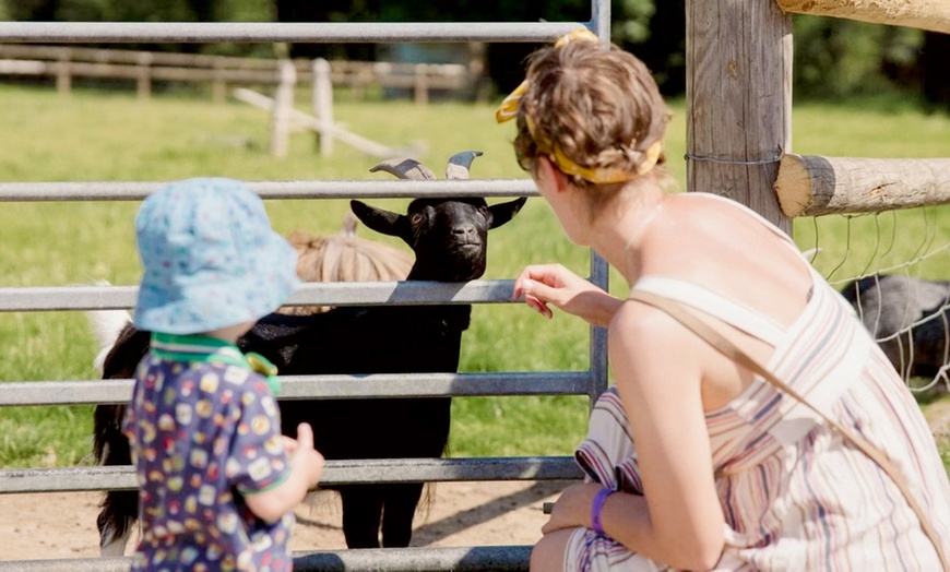 Image 5: Farm and Soft Play Ticket for Up To Four People on Weekday or Weekend 