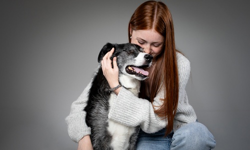 pet portraits at barrett coe studios