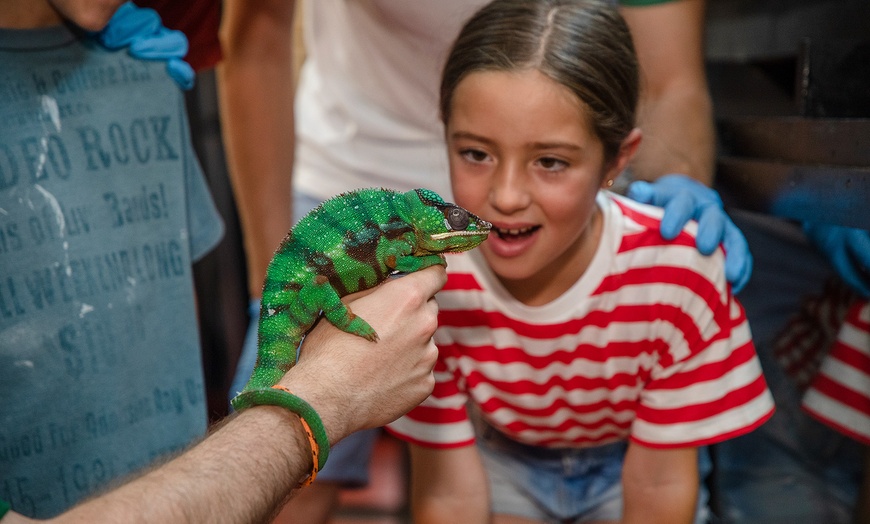 Image 14: ¡Descubre la magia de la naturaleza en Faunia! 