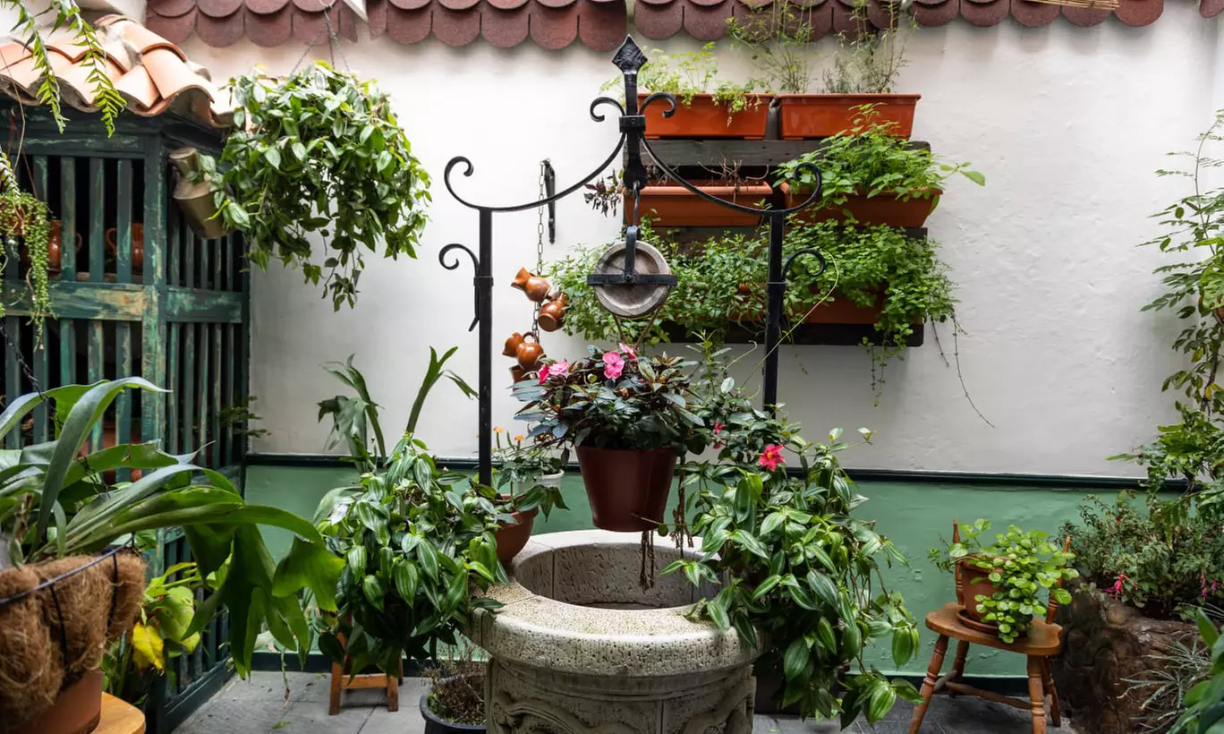 Menú venezolano con arepas, entrantes y pizza frita con helado