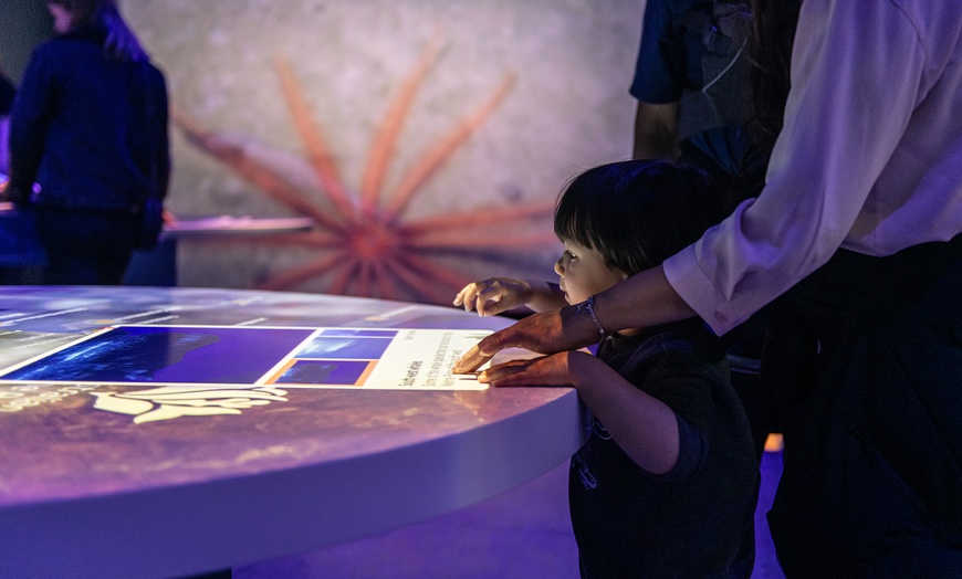 Image 2: An Interactive and Immersive Marine Experience for Kids or Adults