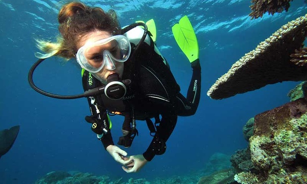 SSI Scuba Dive Course + 15 Dives - Harbour Dive | Groupon