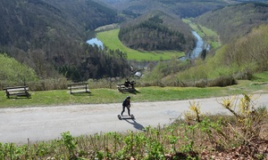 Belgische Ardennen: tweepersoonskamer of pipowagen 