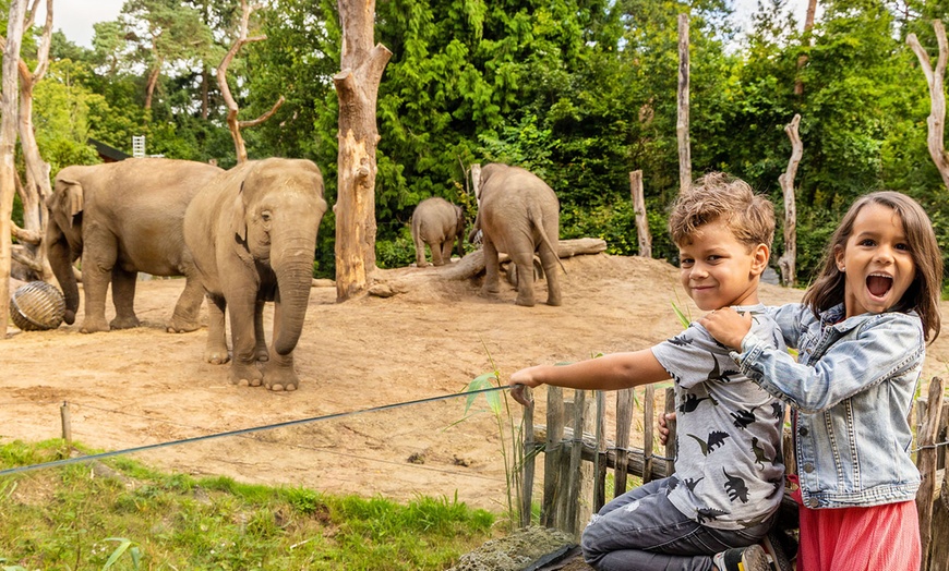 Image 9: Ein tierisches Abenteuer wartet auf dich