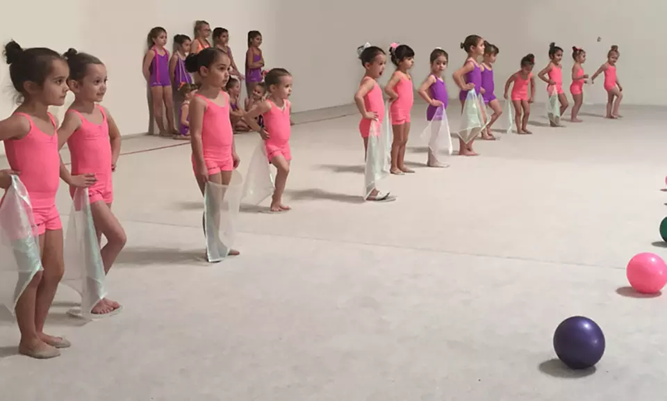 Aerobic or Rhythmic Gymnastics Classes at Nevada Rhythmic Academy (Up to 53% Off). Three Options Available. - Primary Image