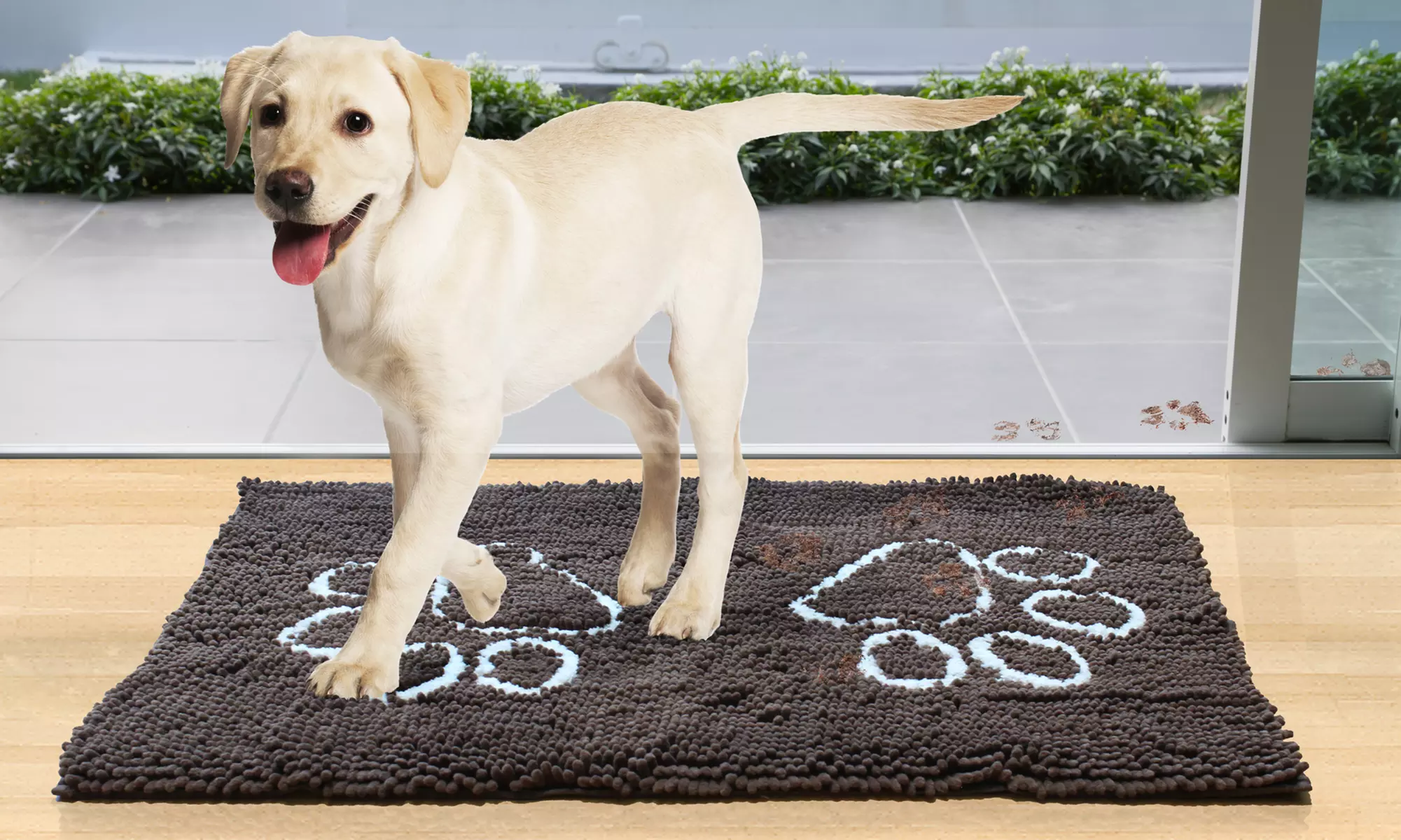My Doggy Place Ultra-Absorbent Dog Doormat with Paw Design - Primary Image