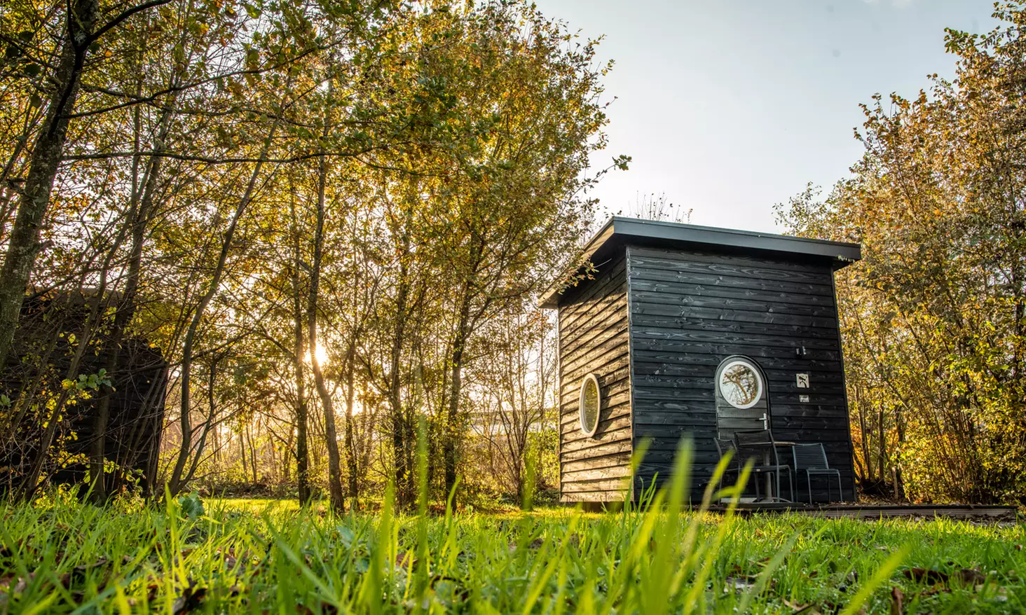 Twente: Safari Lodge-tent XL of Sterrenkubus met ontbijt