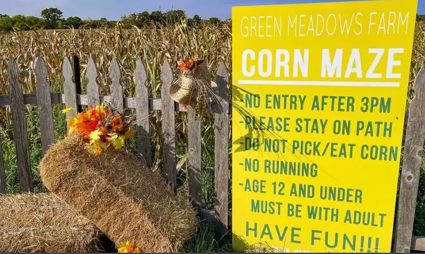 Reunite with Nature Picking Pumpkins at Family-Owned Petting Farm