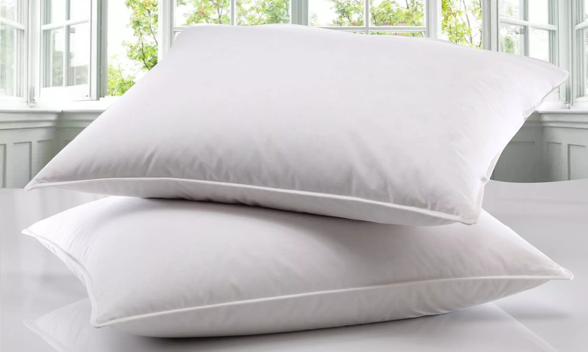 Two or Four Duck Feather Pillows - Primary Image