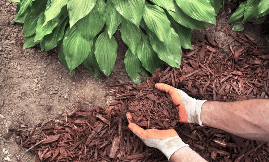 Image 2: Premium Garden Mulch 'Incredimulch' 60-Litre Bag - 1 or 2 Bags