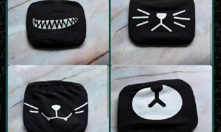 Two, Three, or Four Non-Medical Face Masks with Animal Cover from CGTS (Up to 39% Off) - Second Medium