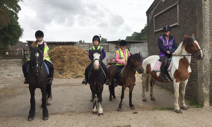 Image 6: Horse Riding for Two