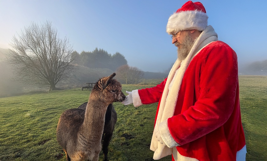 Image 1: Christmas Alpaca Meet and Feed with Santa Gift and Crafts