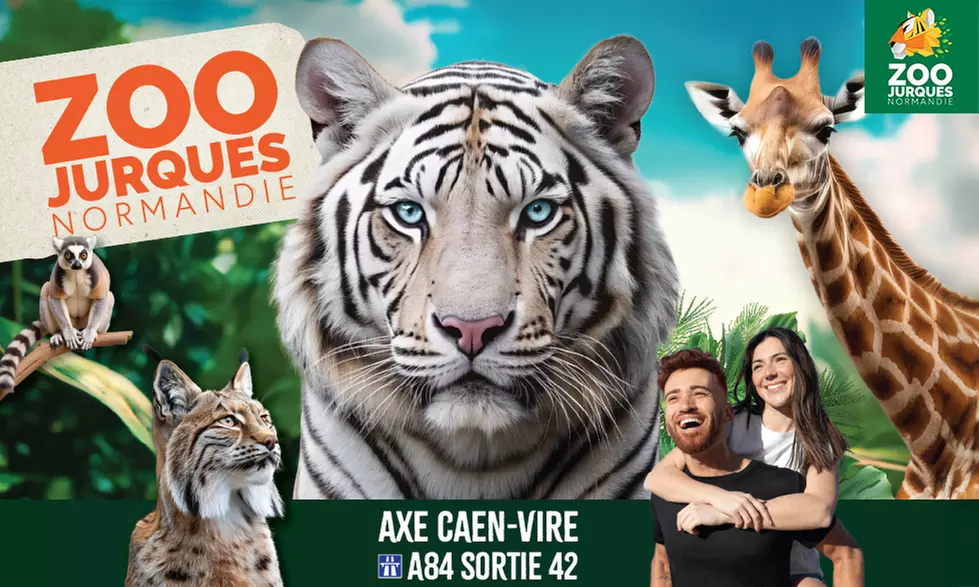 1 journée au Zoo de Jurques avec une visite inoubliable à la rencontre des 700 animaux venus du monde entier - Primary Image