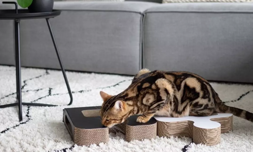District 70 Puzzle Cardboard Cat Scratcher - Primary Image