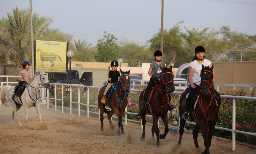 Image 5: Horse Riding Lesson