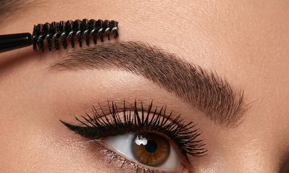 Micropigmentierung: Schattierung (Powder Brows oder Lippen) + Touch-Up