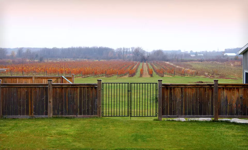 One- or Two-Night Winery Tour, w/ Dining Credits, Wine, and Breakfast from Crush on Niagara in Niagara Wine Country, ON - Primary Image