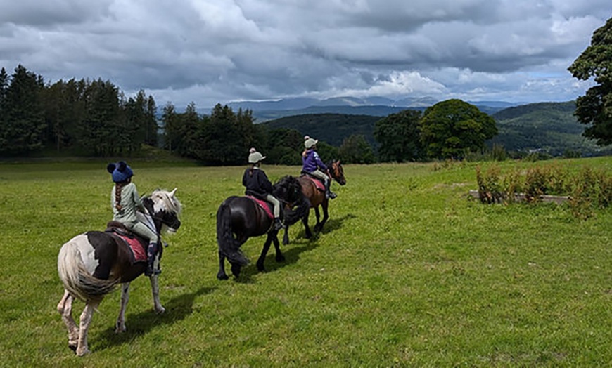 Image 3: Enhance your Skills with Semi-Private or Private Horse Riding Lessons