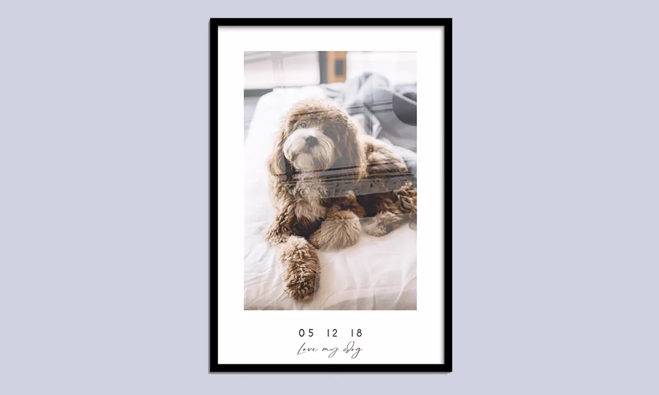 Jouw leven aan de muur: laat je meest bijzondere foto's inlijsten
