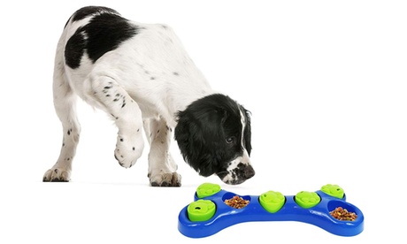 1x oder 2x interaktives Spiel für Hunde