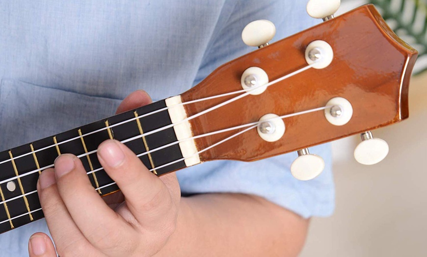 Image 12: Ukulele with Nylon Strings