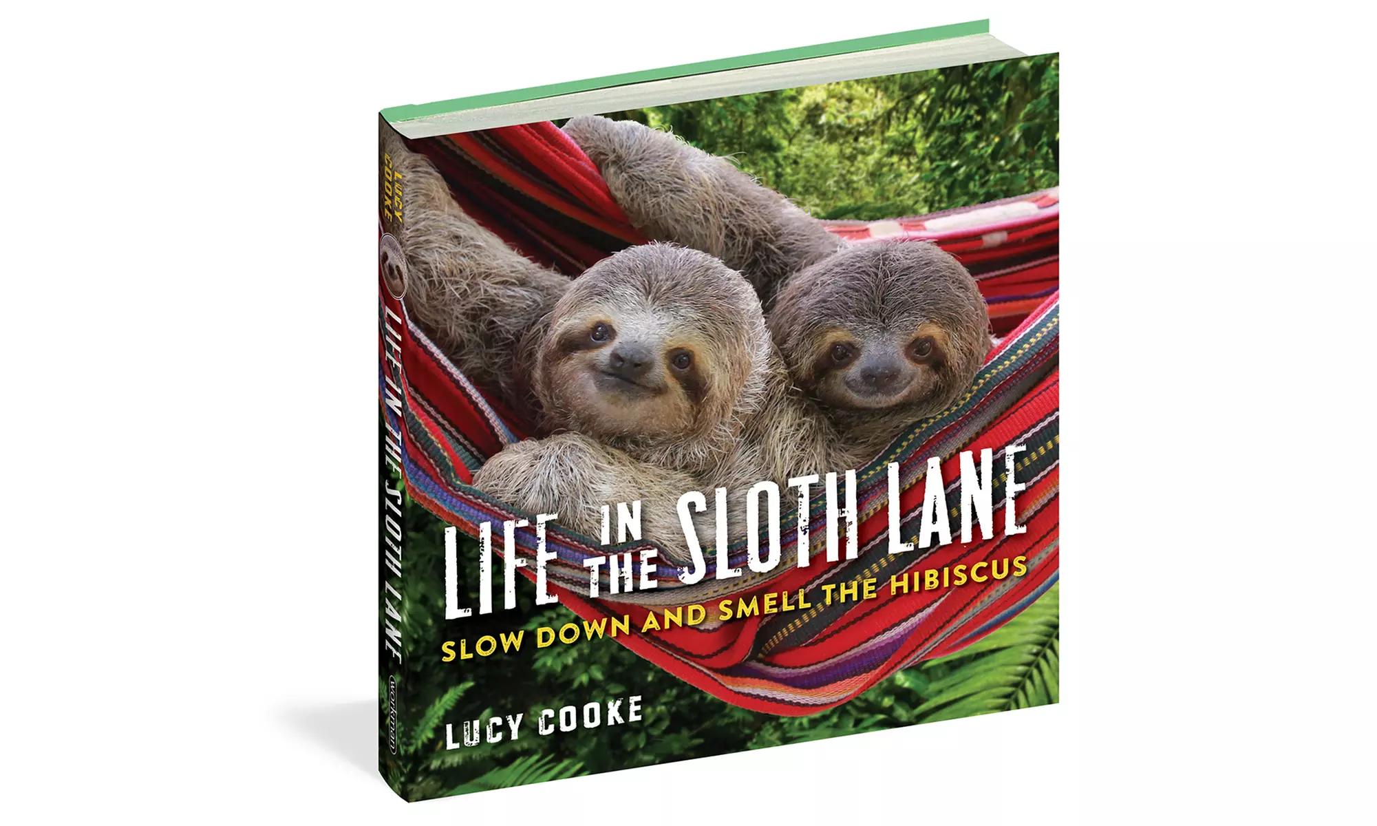 Life in the Sloth Lane Kids' Book - Primary Image