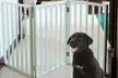 Freestanding Wooden Pet Gate - Second Medium