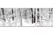 Photography Print Gallery-Wrapped Canvas Triptych  - Second Medium