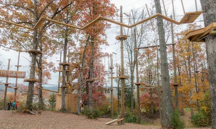 Two Hour Full Course Aerial Adventure Experience for One or Two at Adventureworks (Up to 44%  Off) - Primary Image