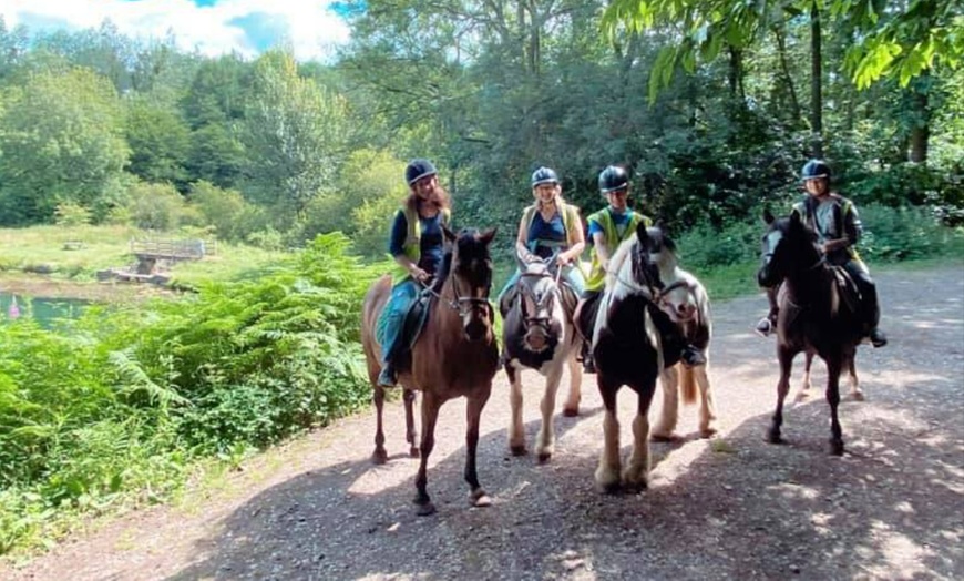 Image 16: Horse Riding and Trekking Lesson at SevernwyeEquestrian