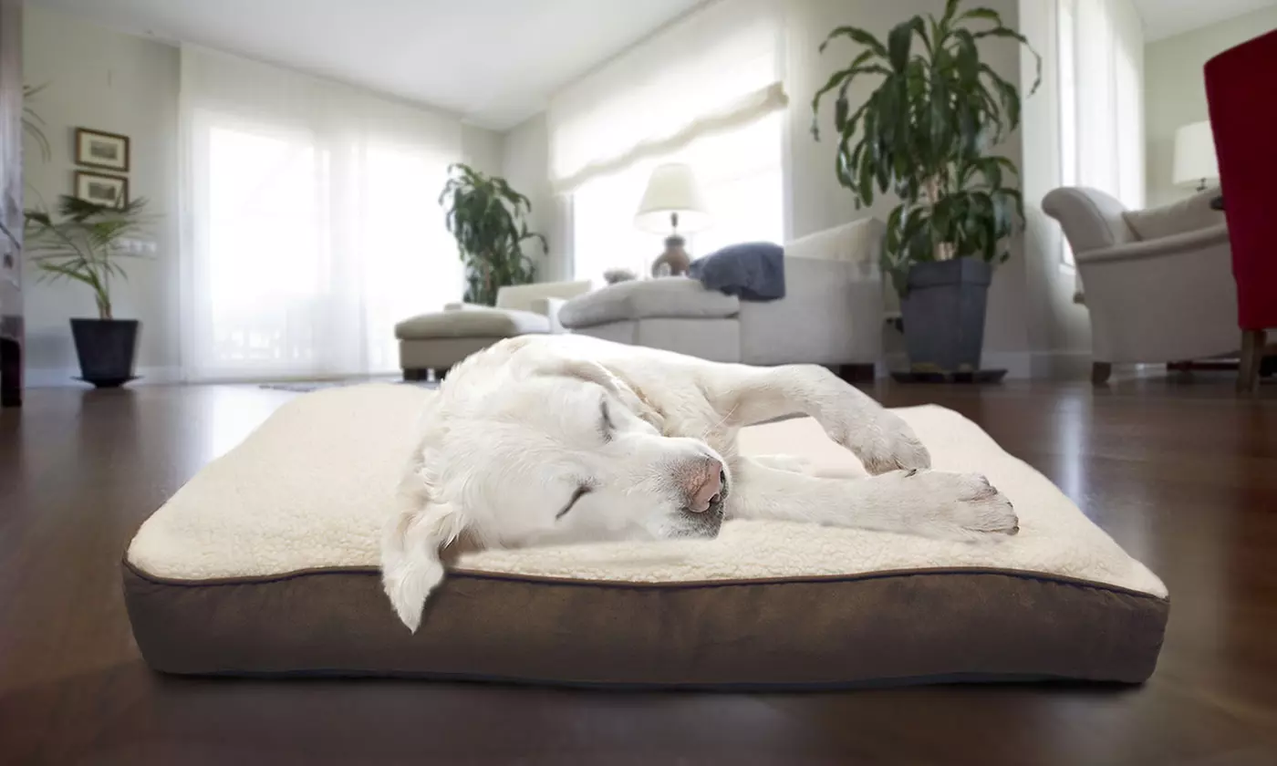 Faux Sheepskin Fiber-Filled Pillow Pet Bed - Primary Image