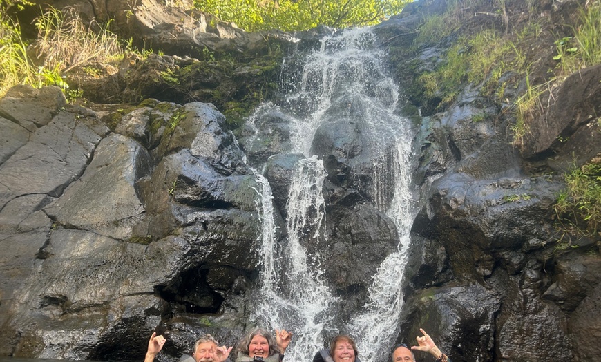Image 5: WaimeaWaterfall Hike/Swim+ DolePlantationTour Breakfast&LunchIncluded
