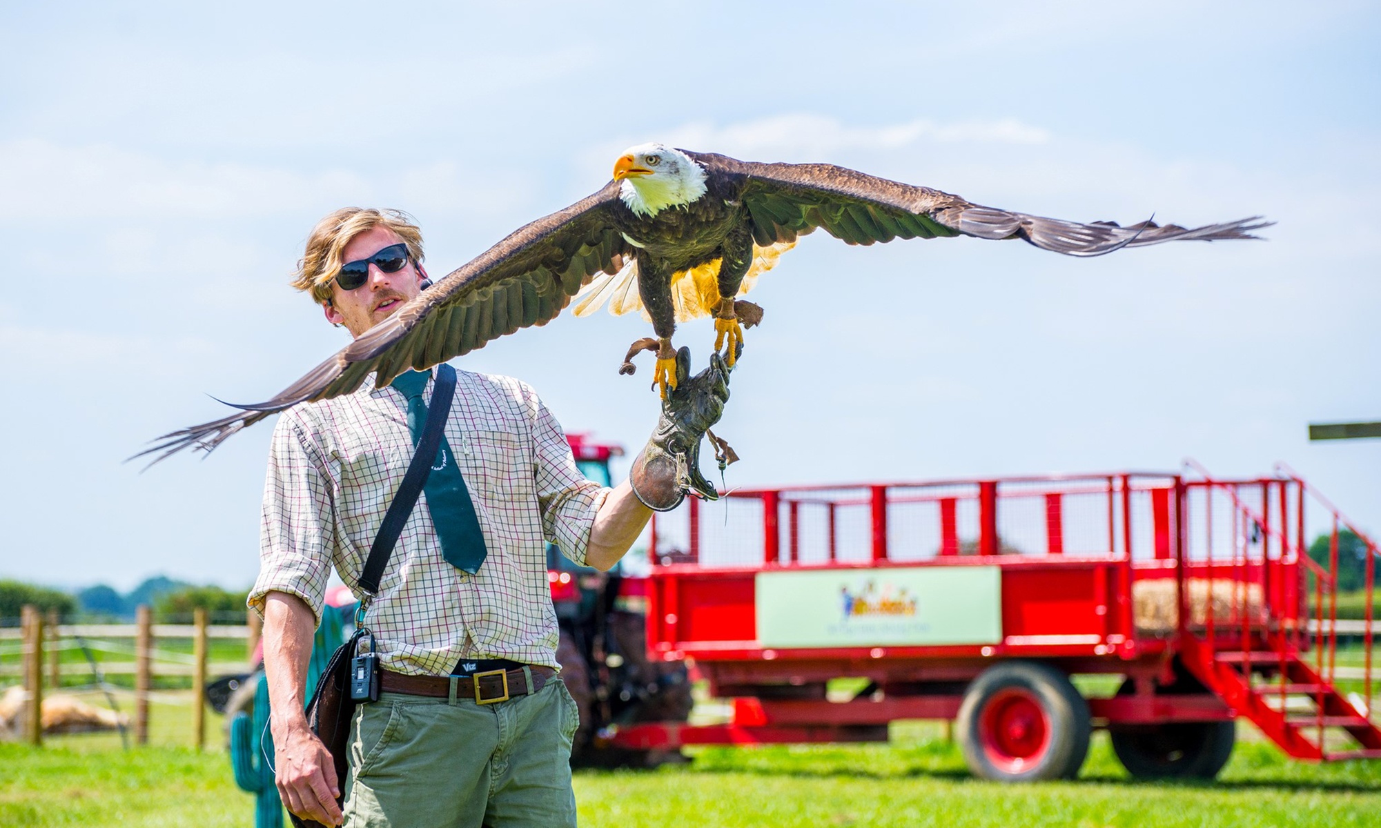 Falconry Experience for up to Two People | Soar Into Adventure with Three exhilarating Hours at Adventure 001