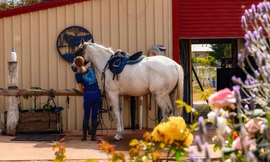 Image 4: Up to 50% Off on Horse Back Riding - Recreational at Green Gables Stables